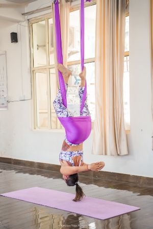 Yoga certification image