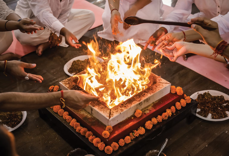 History of Vinyasa Yoga Ashram