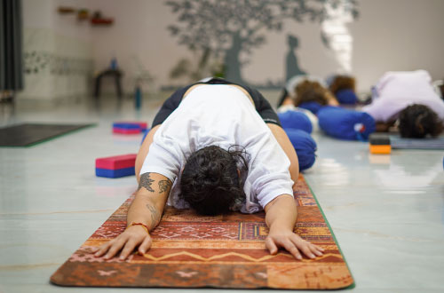 Yin Yoga Course