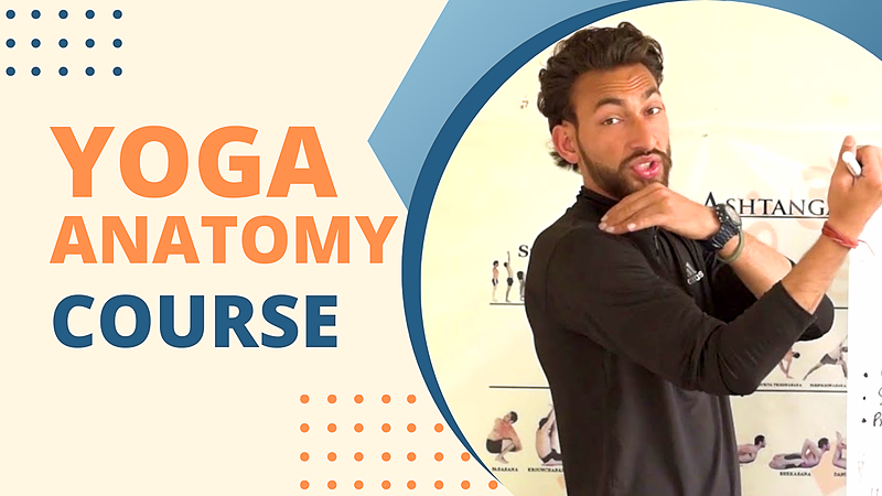 Yoga Anatomy Course